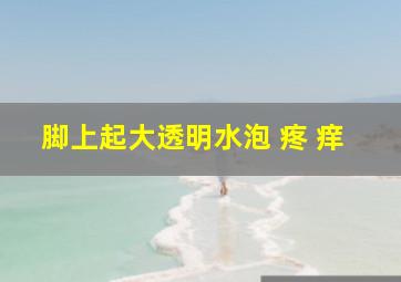 脚上起大透明水泡 疼 痒